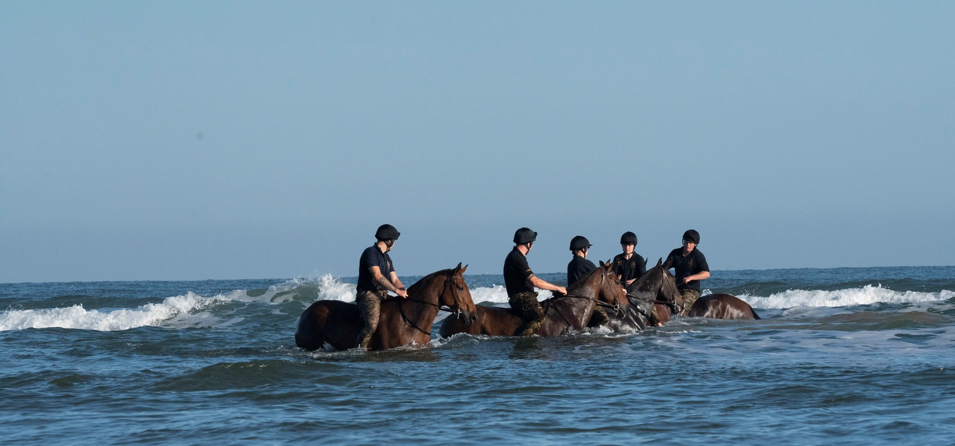 ktrhahorses 5 1005ed.jpg
