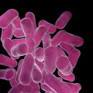 Fermented foods, probiotics, stomach bacteria, yeast, yoghurt
